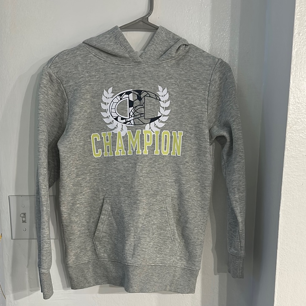 Champion Gray Athletic-Inspired Sweater with Laurel Design